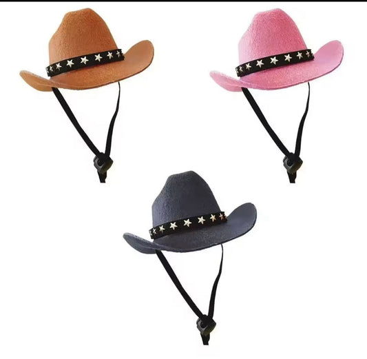 Cow boy hat